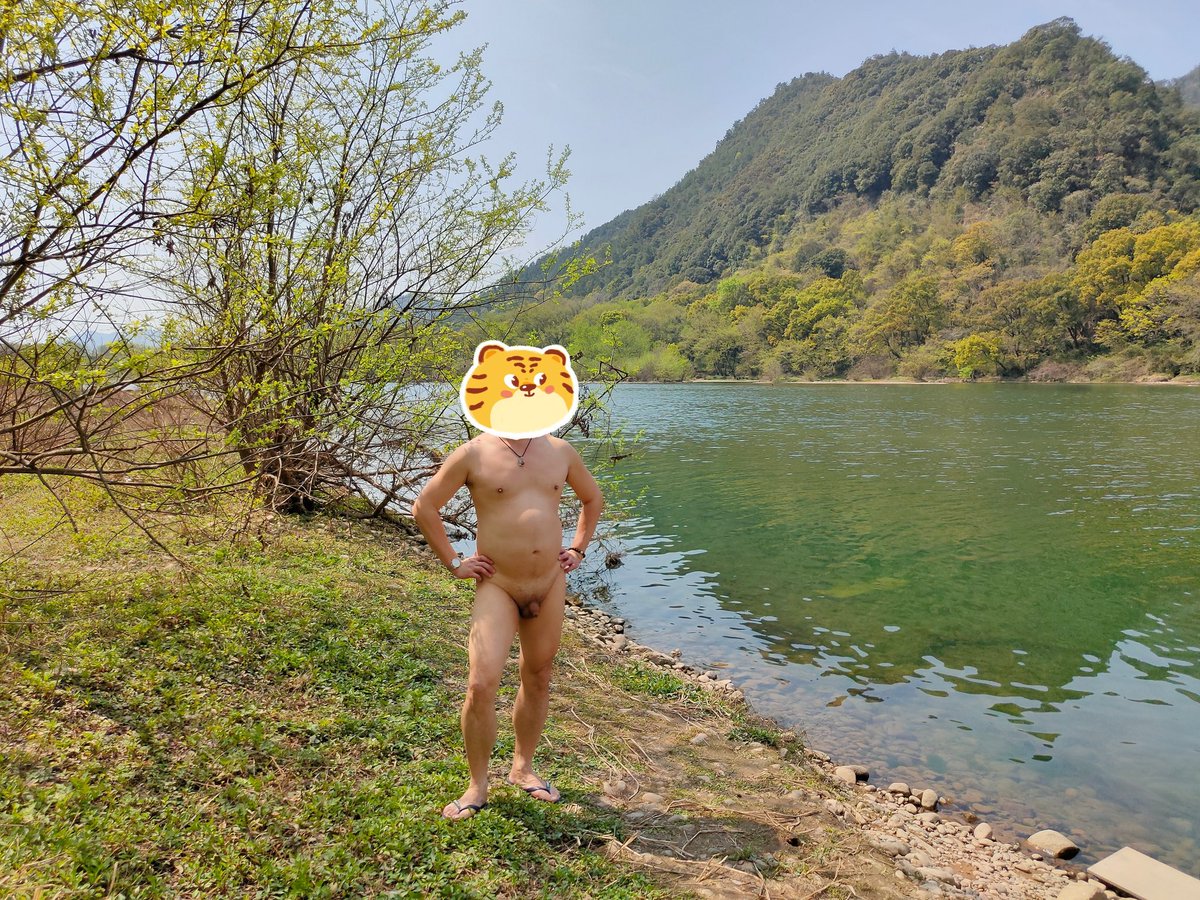 变熊的德鲁伊 tweet media