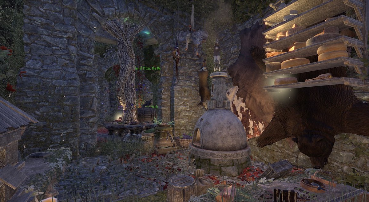 SurvivorDescended tweet media