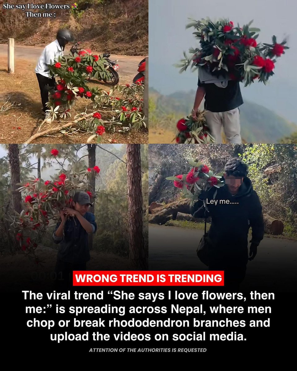 No Next Question tweet media