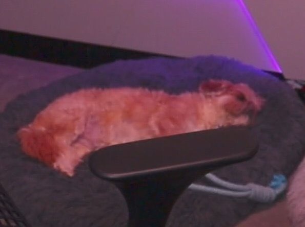 vickykase | lohikåårme ☪︎ tweet media