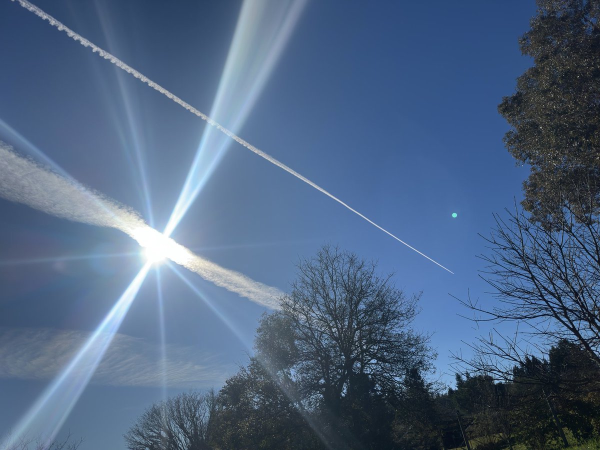 apocalypse tweet media