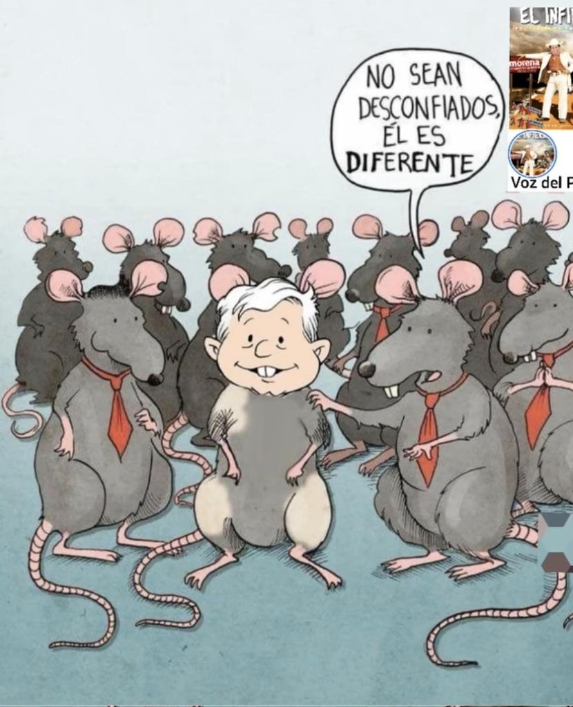 Don Insensato tweet media