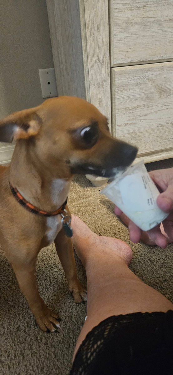 Lee Davis ✝️ tweet media