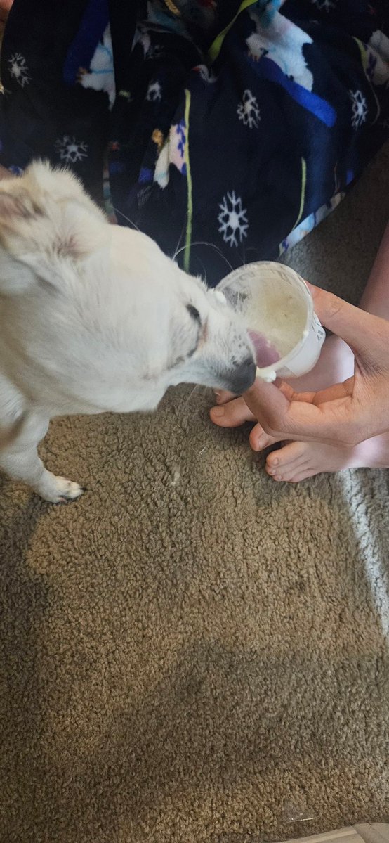 Lee Davis ✝️ tweet media