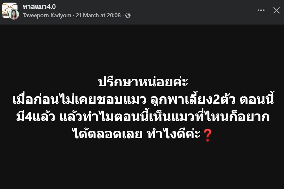 คือผมต้องทราบไหม 🐈‍⬛ tweet media