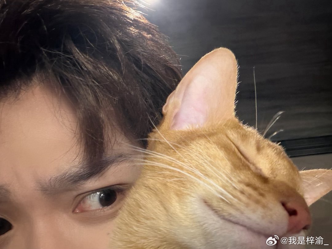 ZiYu Official Fanclub tweet media