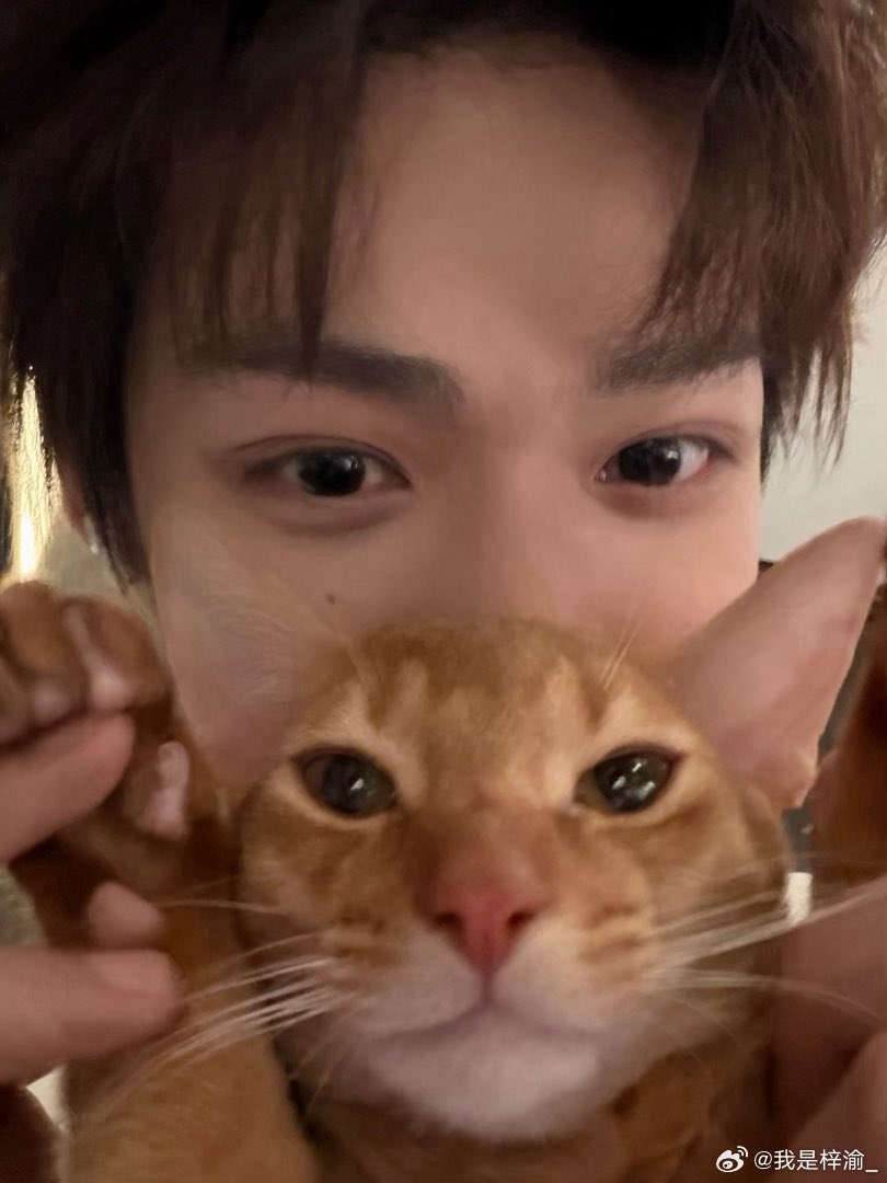 ZiYu Official Fanclub tweet media