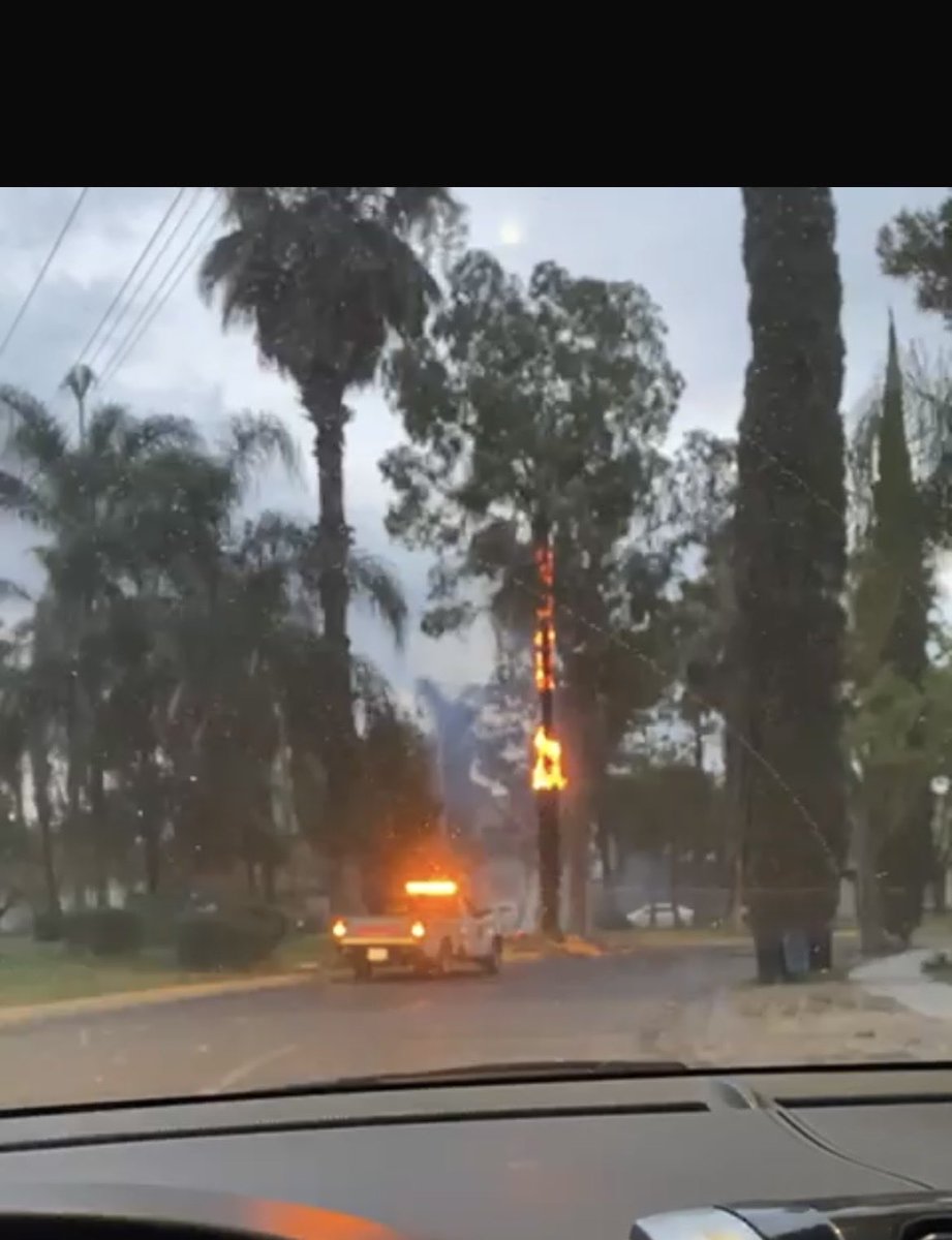 kaira gallardo tweet media