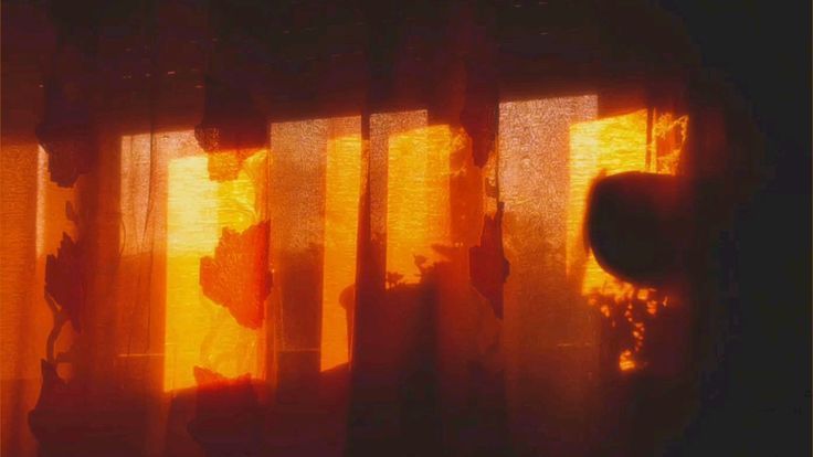 Nala 🦊 tweet media