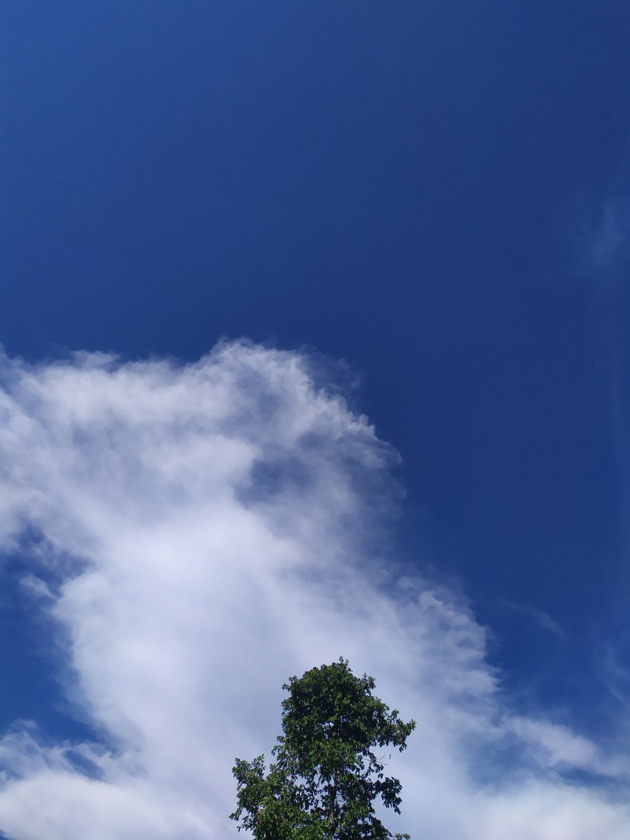 Killuaatran tweet media