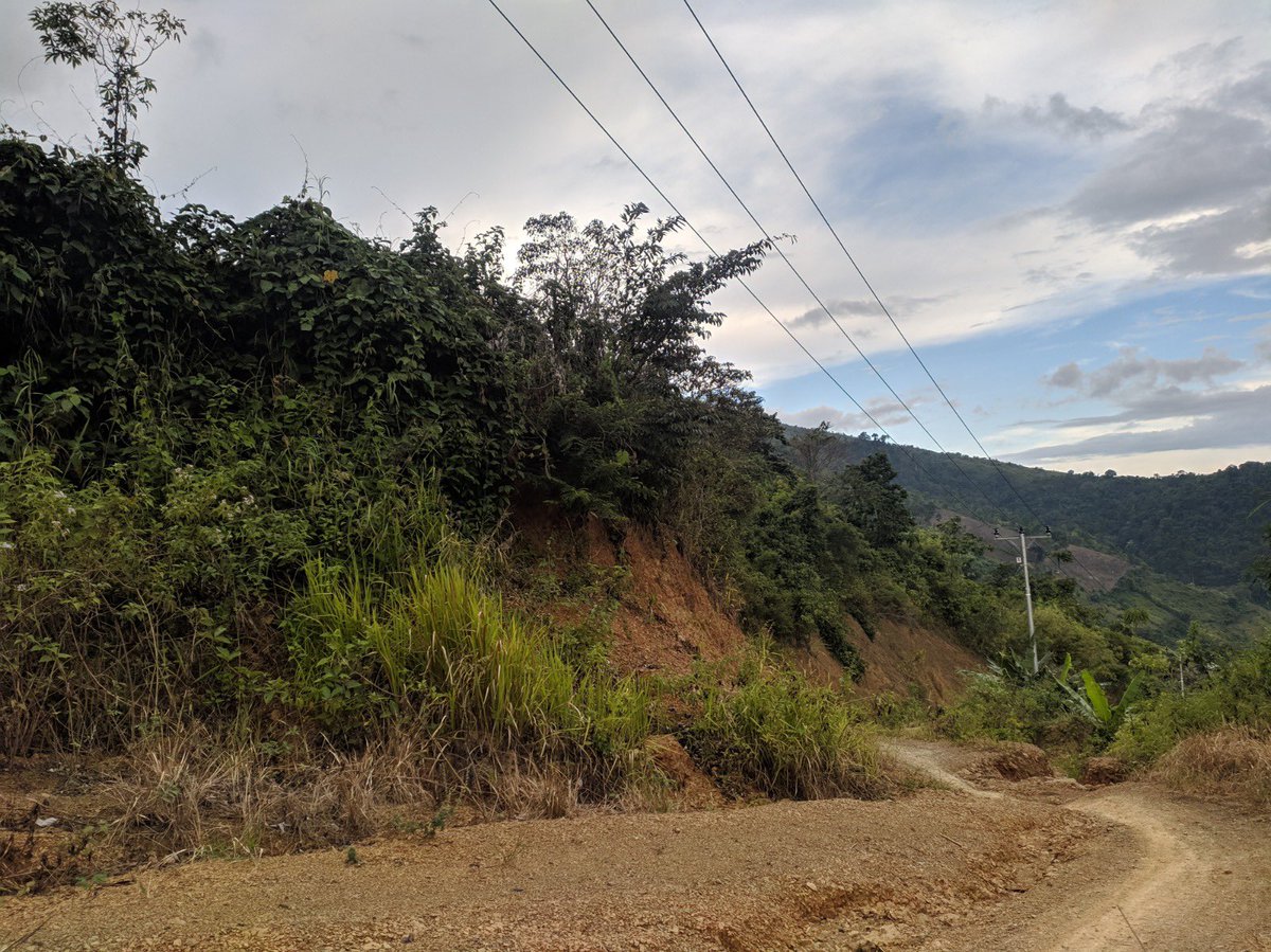 Killuaatran tweet media