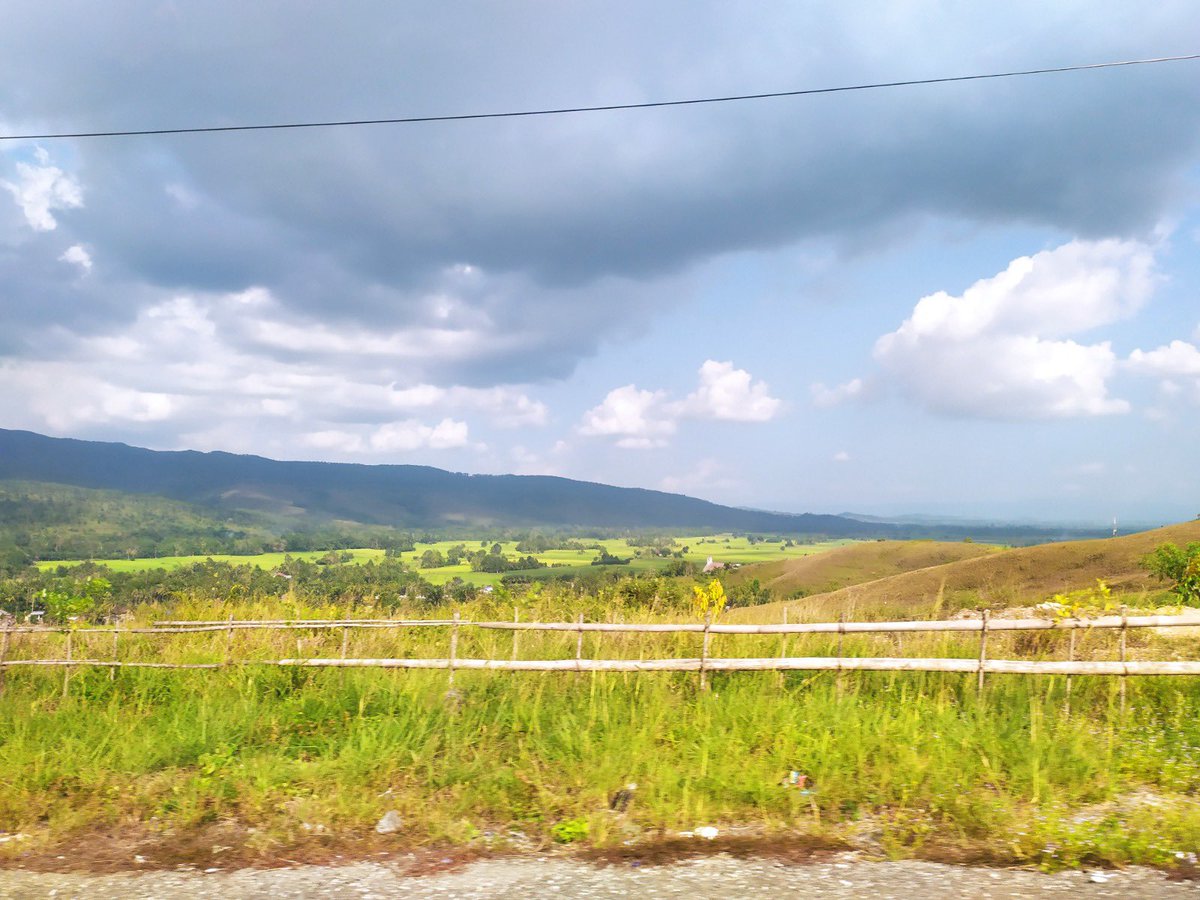 Killuaatran tweet media