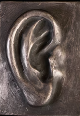 Brucer - Oreia tweet media