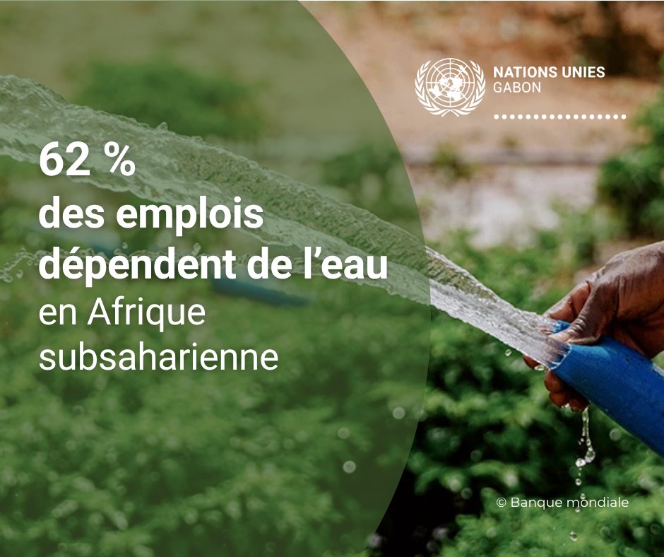 ONU Gabon tweet media