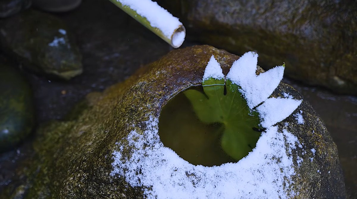 Michiyoshi Shirota tweet media