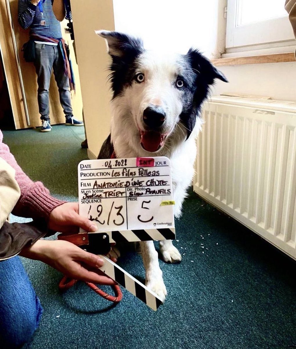 그린나래미디어 tweet media