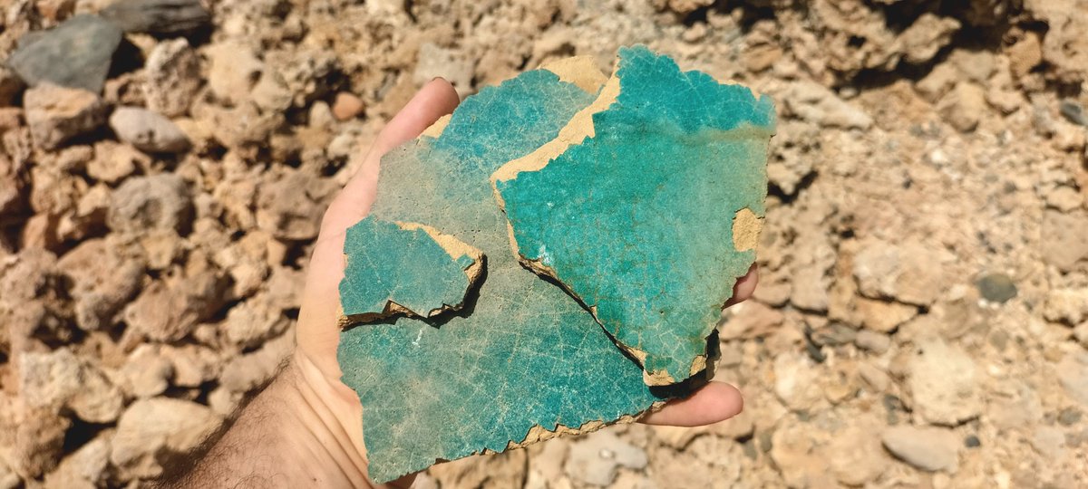 Guerra en la Universidad tweet media