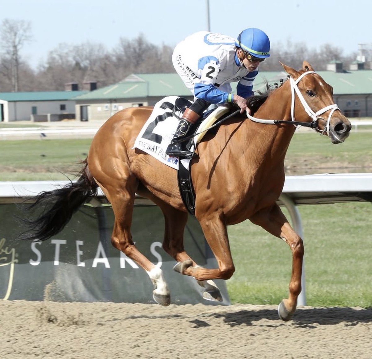 Stakes Winners 🏆 tweet media