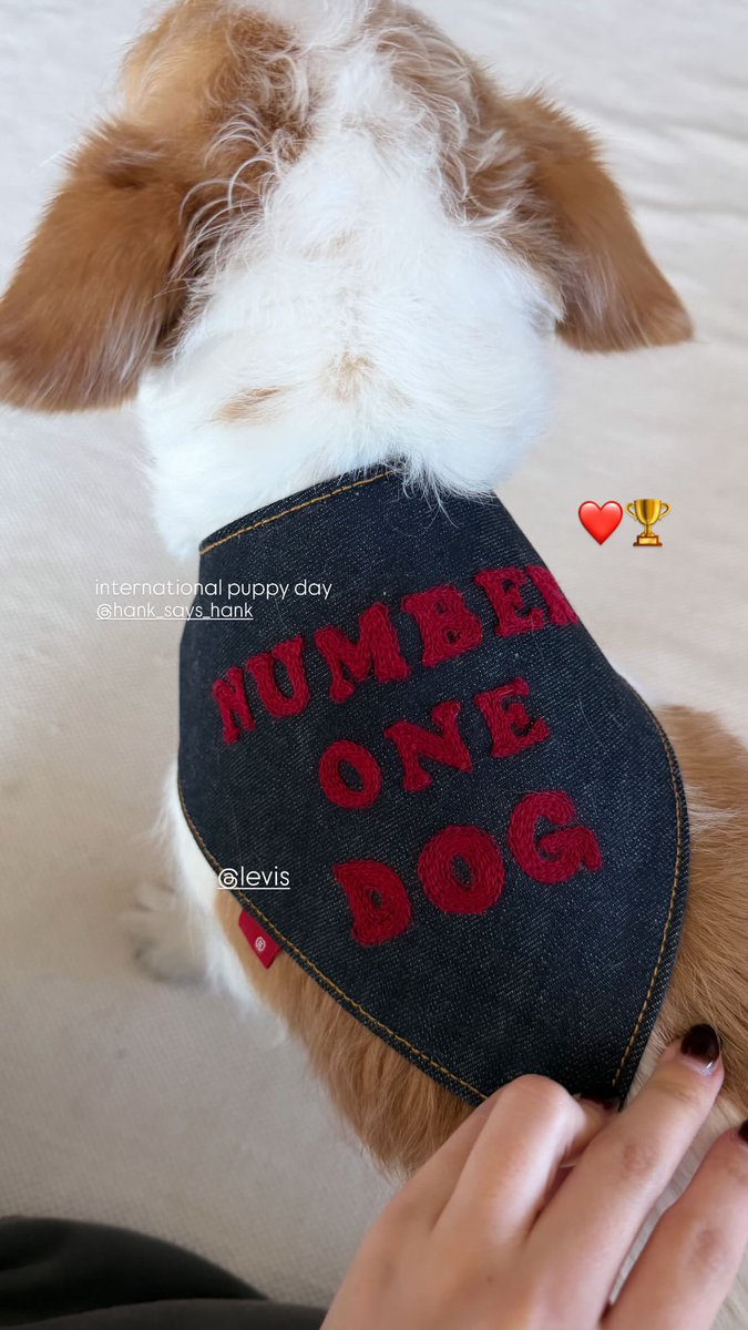 ✨ELEVEИDIGITS ꫂ ၴႅၴ✨ tweet media