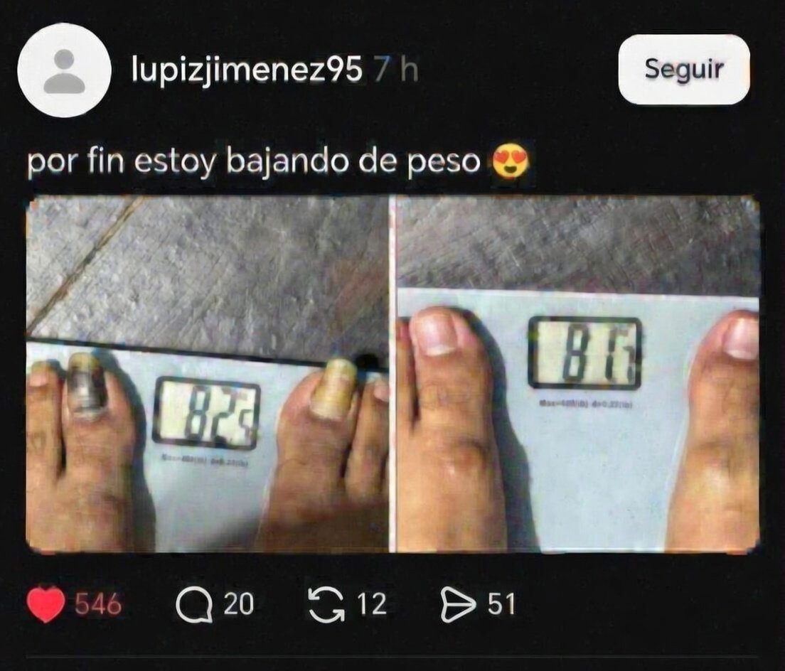 Capsicum tweet media