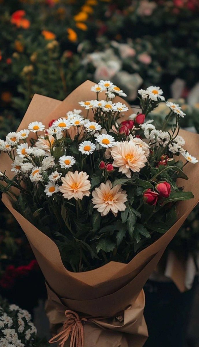 ㋡ٍُْSََََِℳًَََⅈَََlِℒَِـོb✍🇸🇦 tweet media