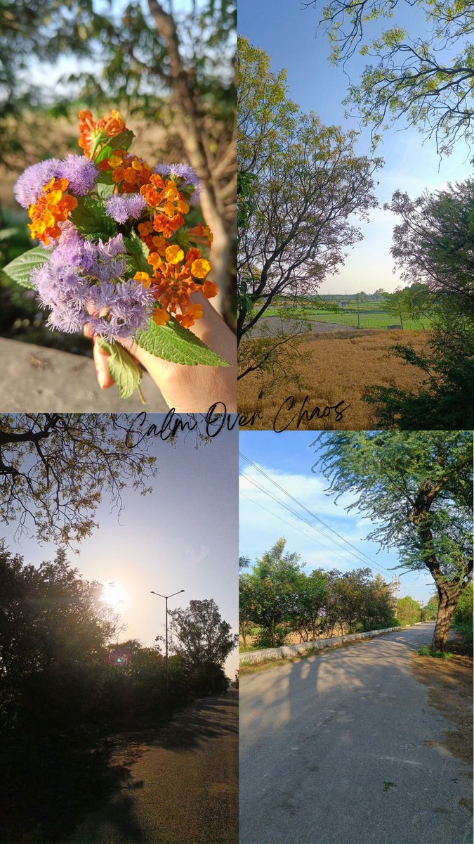imsushant12's tweet photo. Escaping the chaos, finding my calm 🌿
#NatureVibes #PeacefulMind #CalmVibes #SunsetLovers #NaturePhotography #AestheticVibes #ExploreMore #Serene https://t.co/odl8P492sA