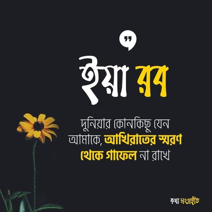 rayhanmossad's tweet photo. 🖤🌹 https://t.co/MvKeipVHsA