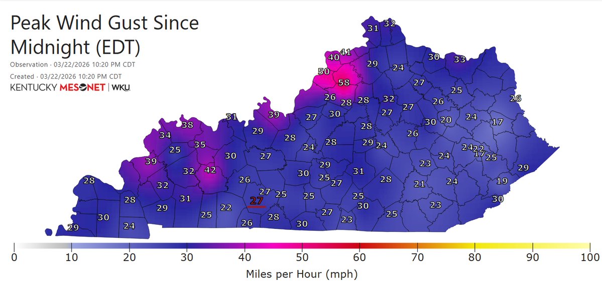 Storm_101 tweet media