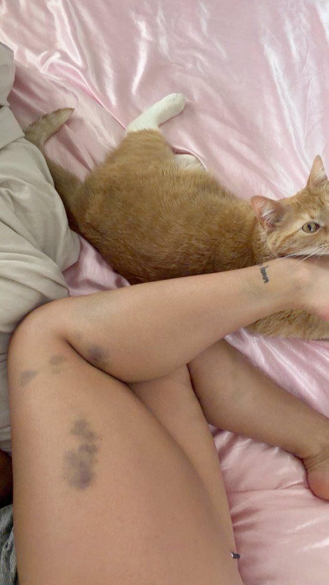 Jess💕 tweet media