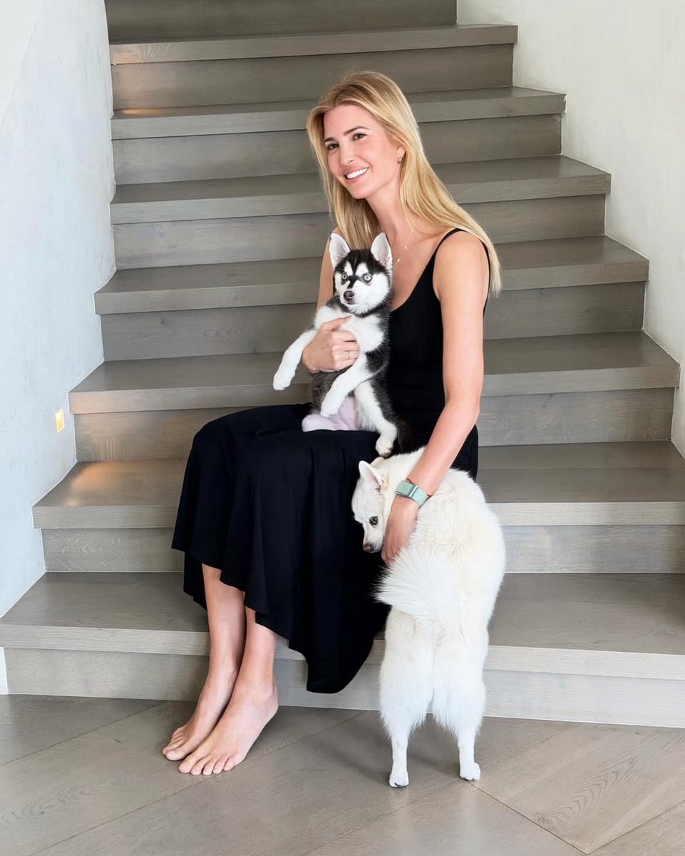 @MysterySolvent tweet media