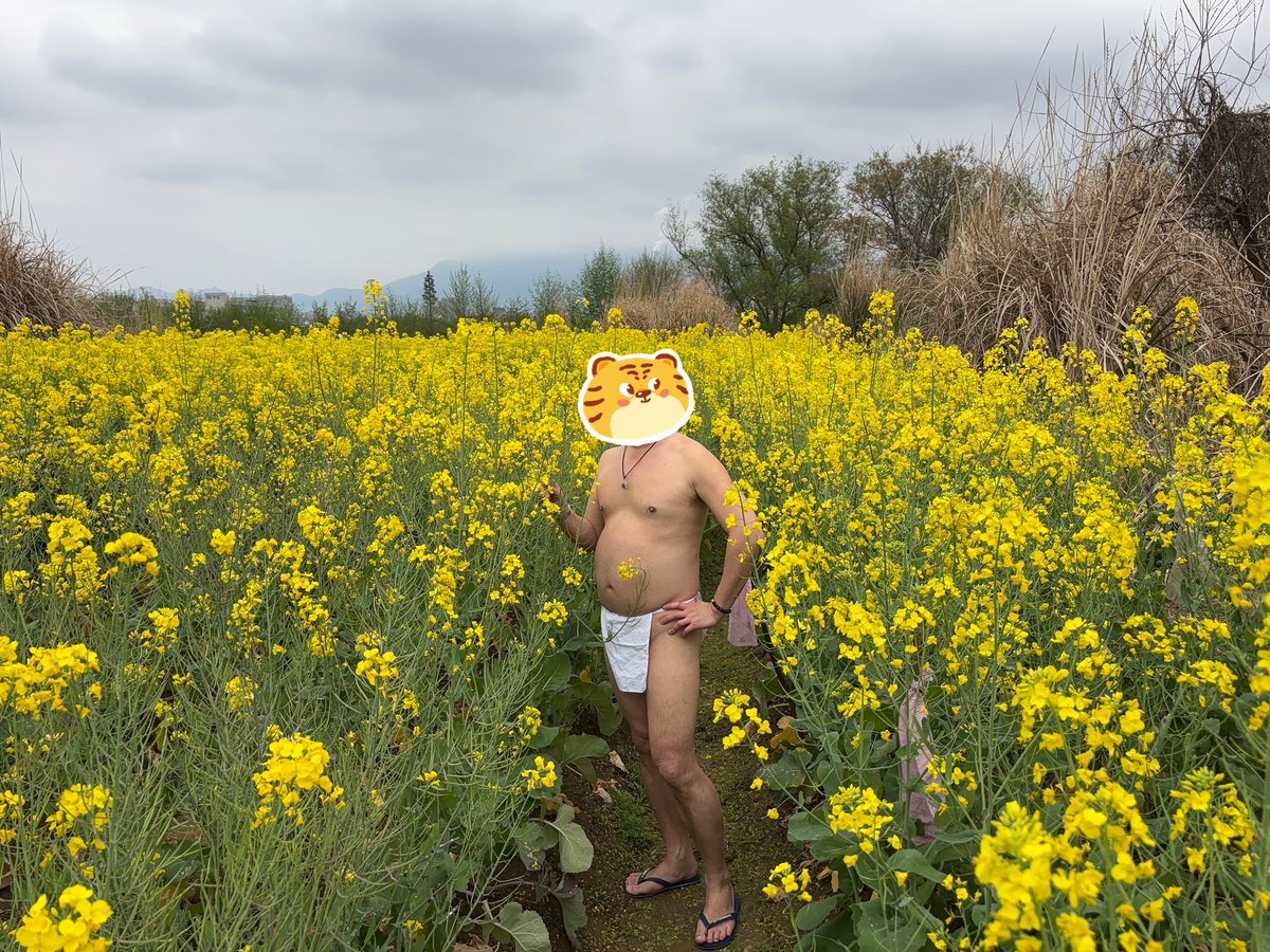 变熊的德鲁伊 tweet media