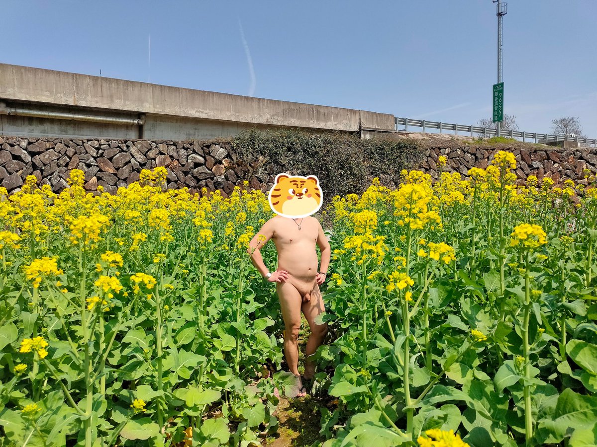 变熊的德鲁伊 tweet media