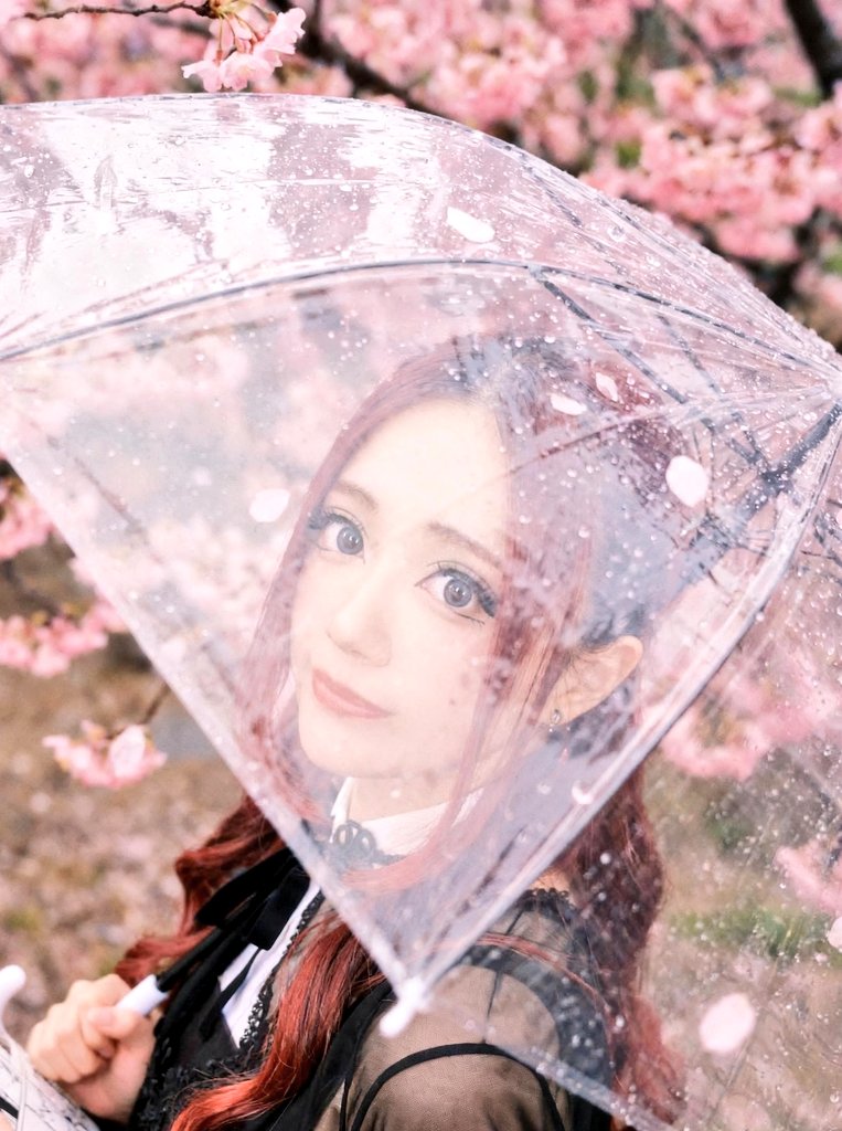 CHIHIRO(千尋)SKYWALKER🍻🏴‍☠️ tweet media