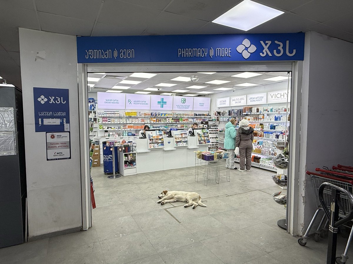 佐藤 敦俊 Georgia 🇬🇪Monster Cliff🧌 tweet media