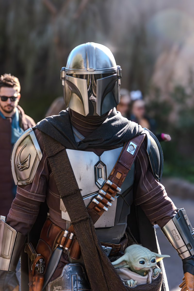 Streaming The Magic tweet media