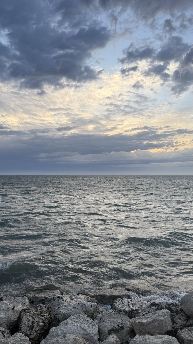 𝗥𝗮𝗻𝗮 𝗦𝗮𝗹𝗲𝗵 tweet media