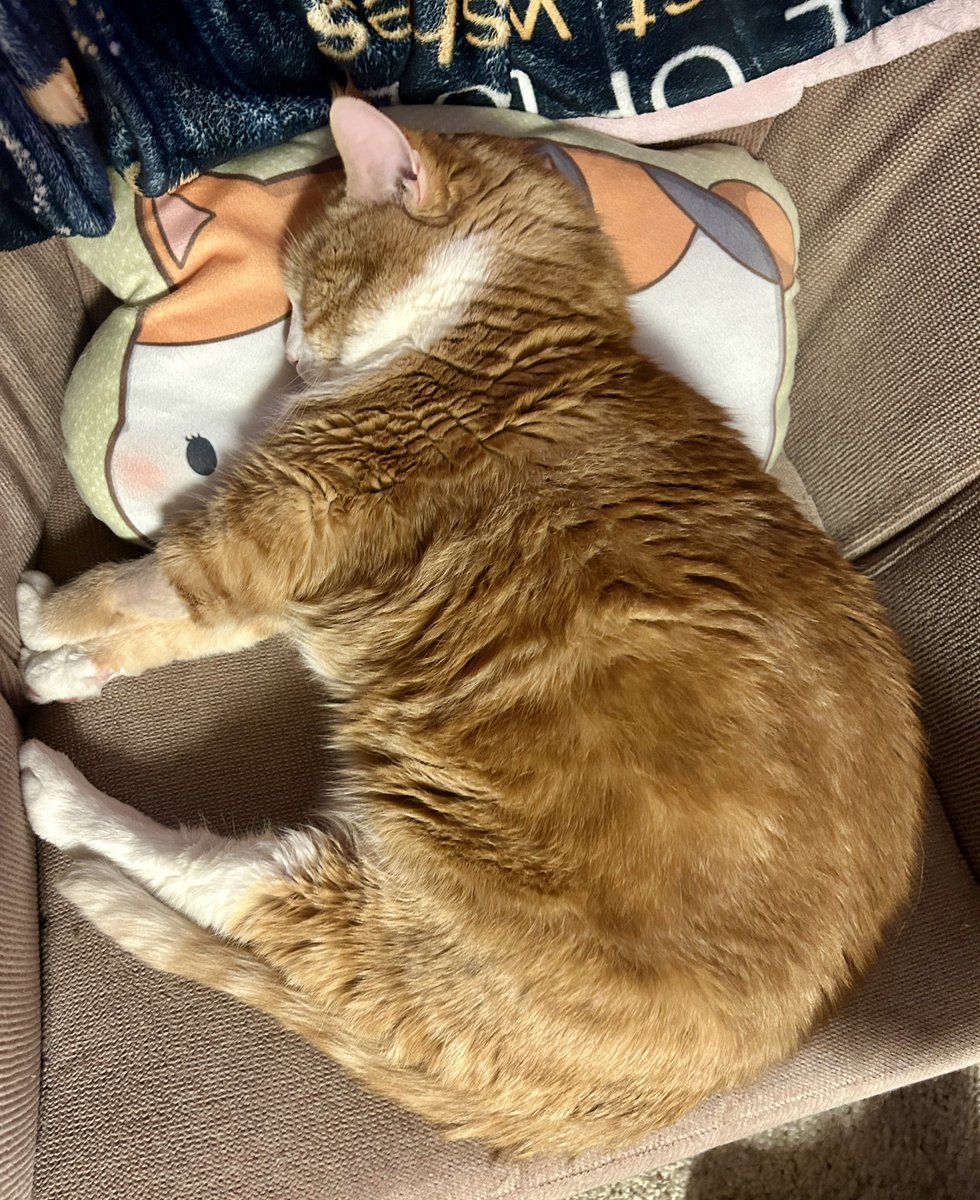 bloob🫐 tweet media