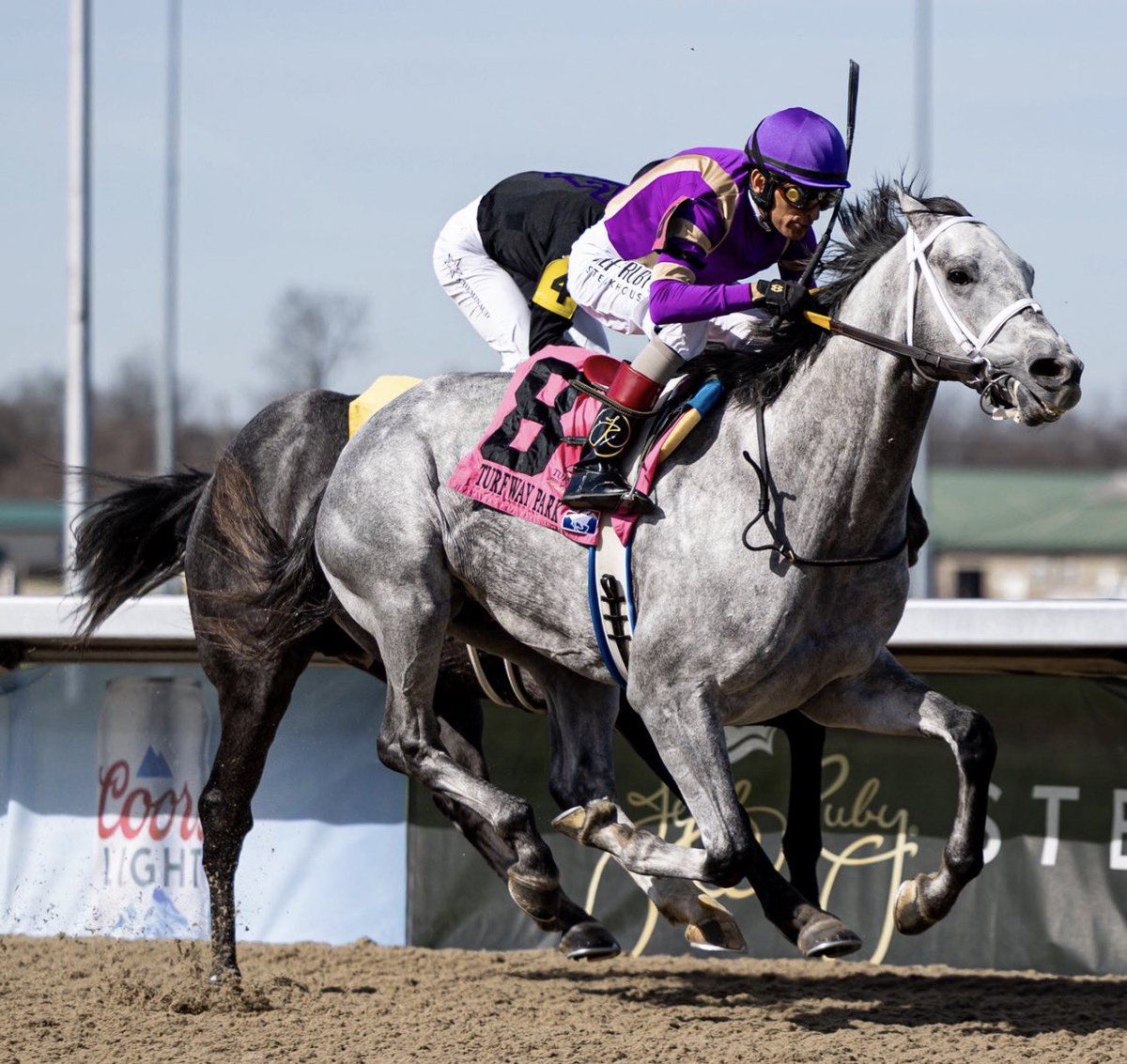 Stakes Winners 🏆 tweet media