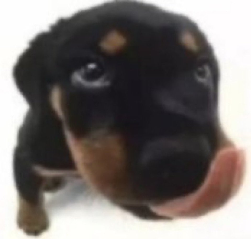 lǝɐɟɐꓤ 🧛🏾♂️ tweet media