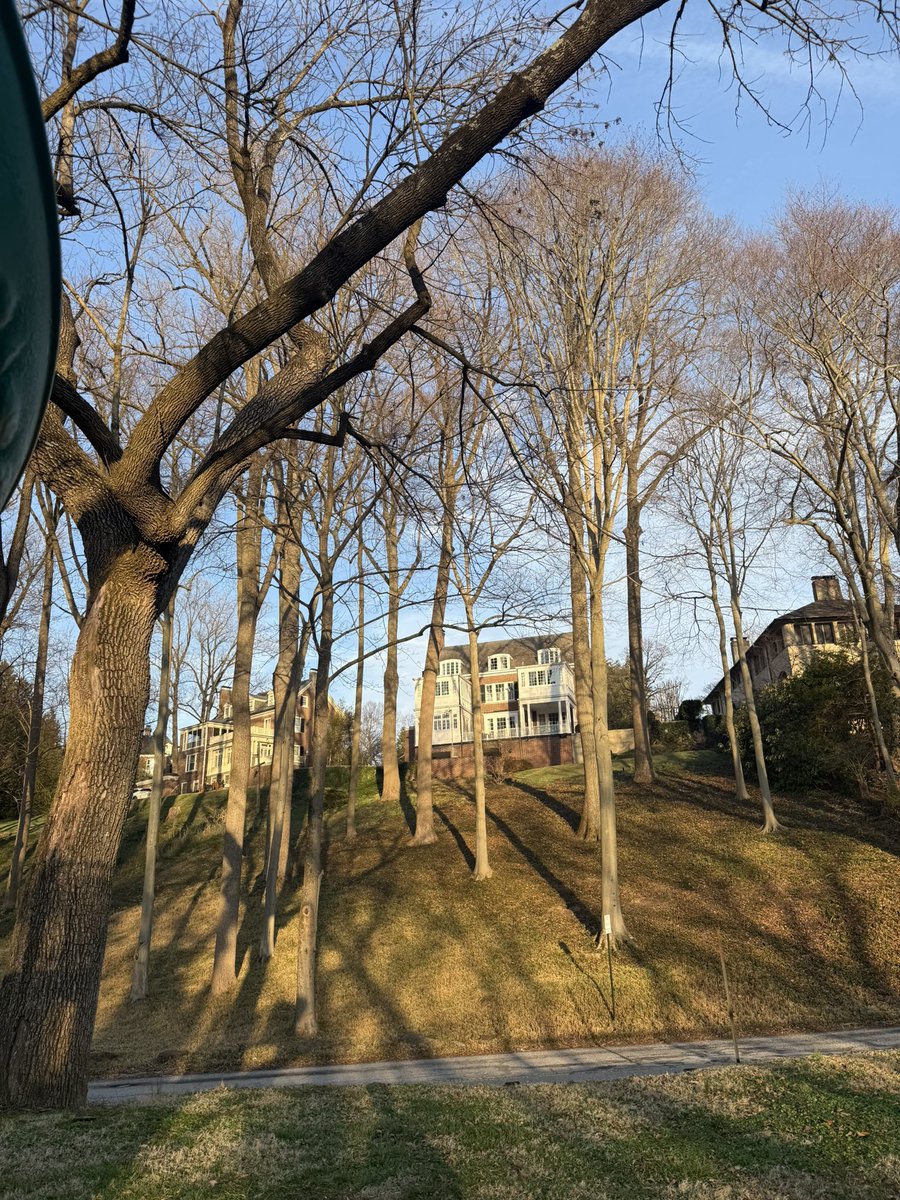 贝塔酱 tweet media