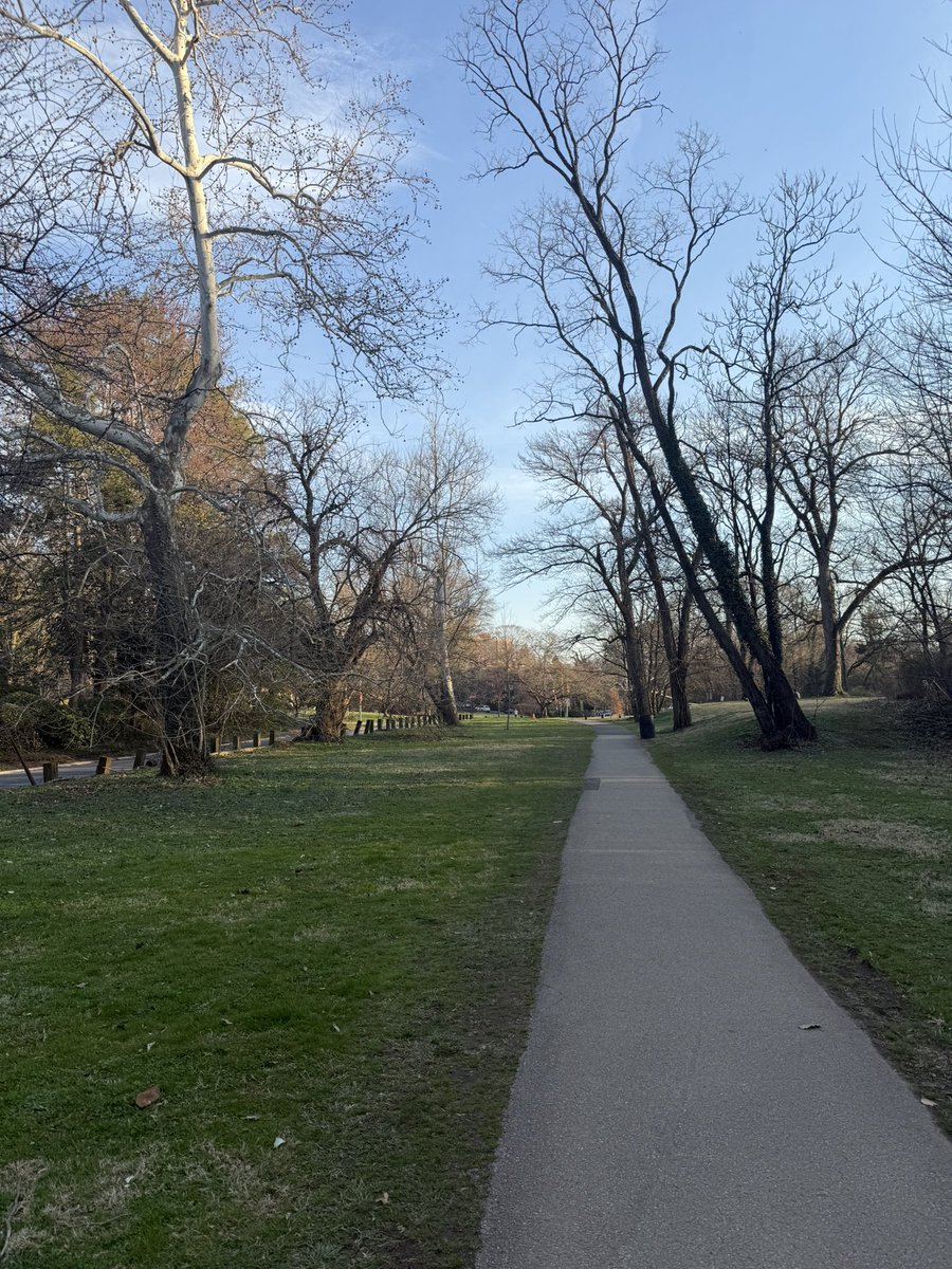 贝塔酱 tweet media