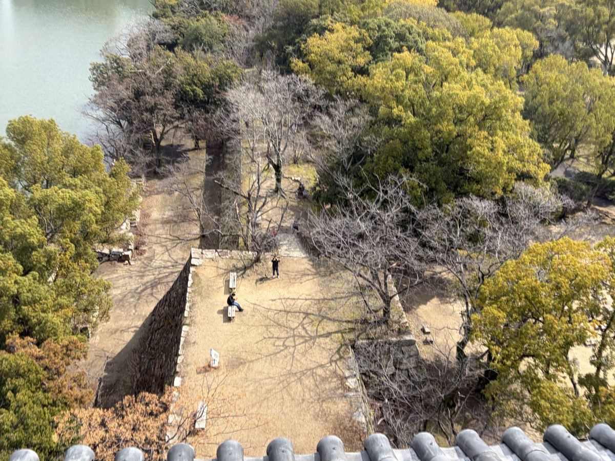 ガンビー（銃蜂） tweet media