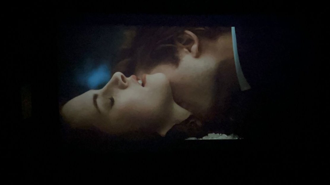 bibi 🇧🇷 tweet media