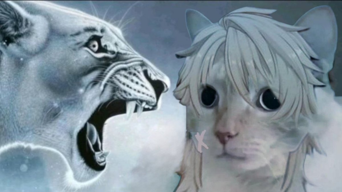 ᤧᅠᅠ ,ᅠᅠ𝔳ₐᵣ𝔨̸ᵃ͜ tweet media