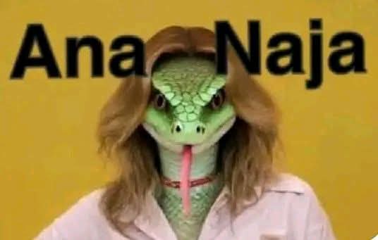 aquilles tweet media