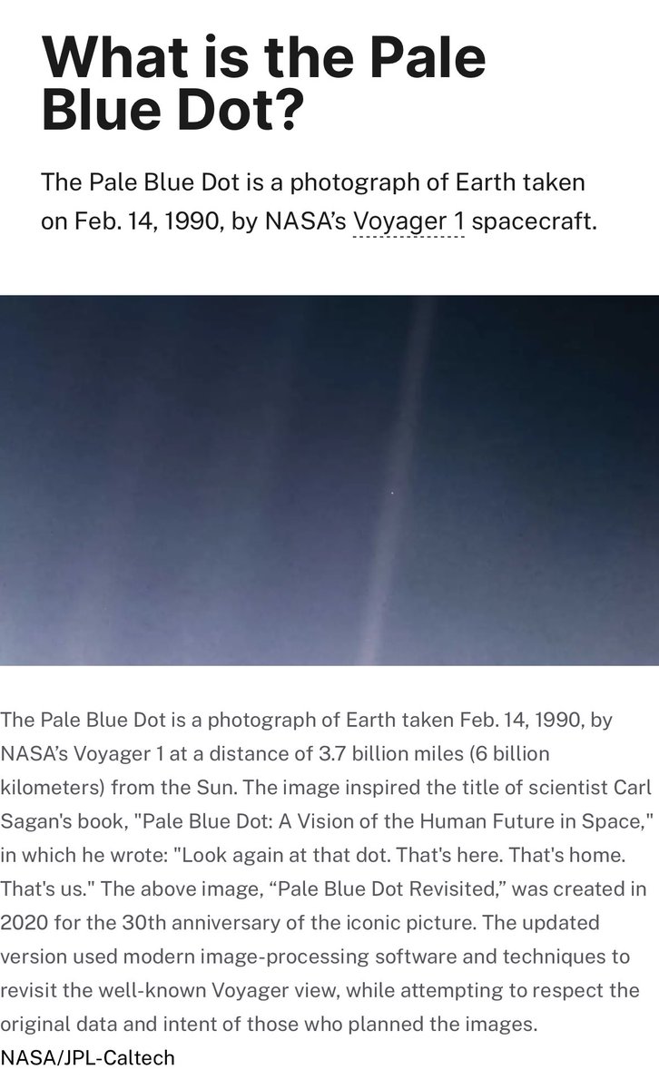 파라 🐥🍉 tweet media