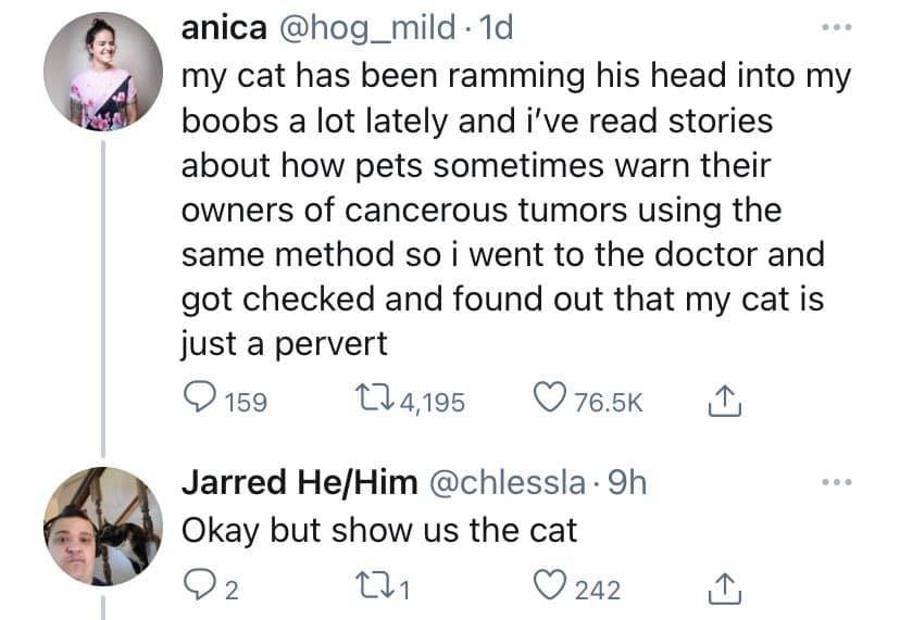 Longtime Black Man Here tweet media