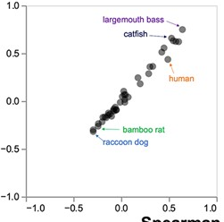 JackDempsey tweet media