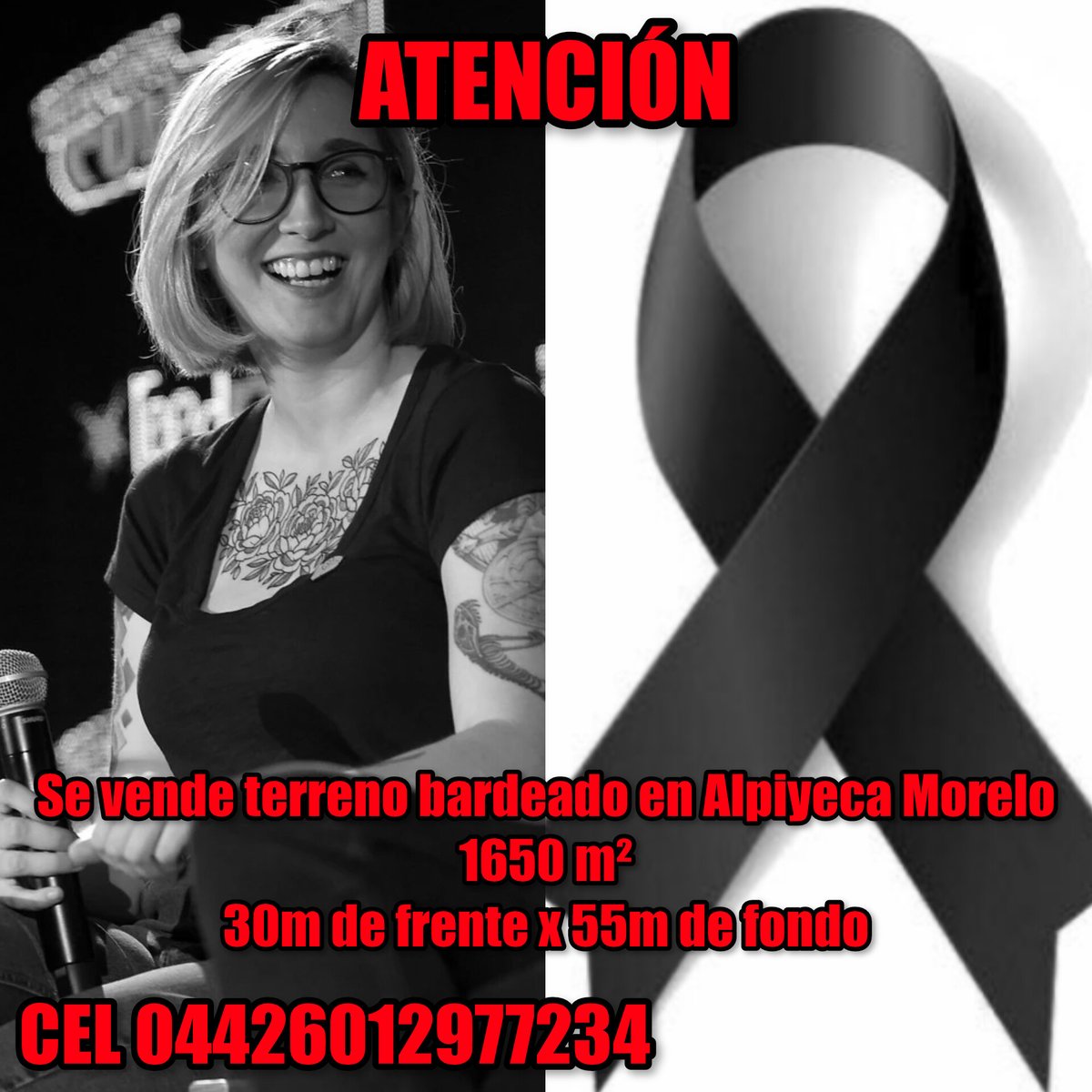 TailsFunkin tweet media