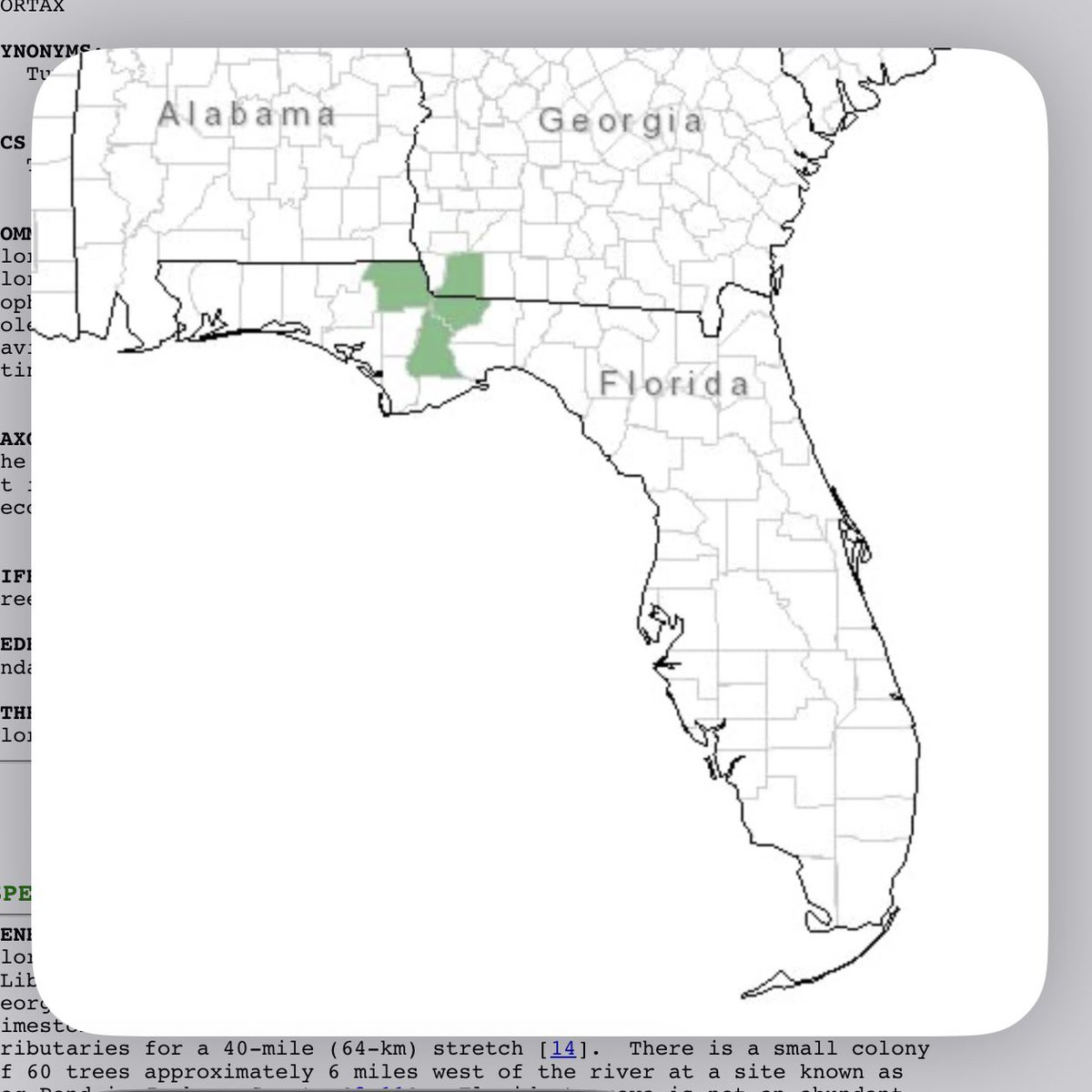 Amanda Mashburn 🇺🇸 tweet media